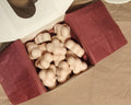 Wax Melts - "It's cold outside"